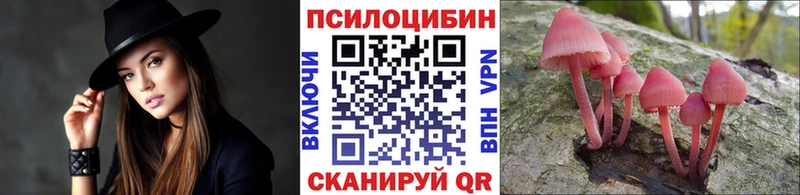 Галлюциногенные грибы ЛСД  Волоколамск 